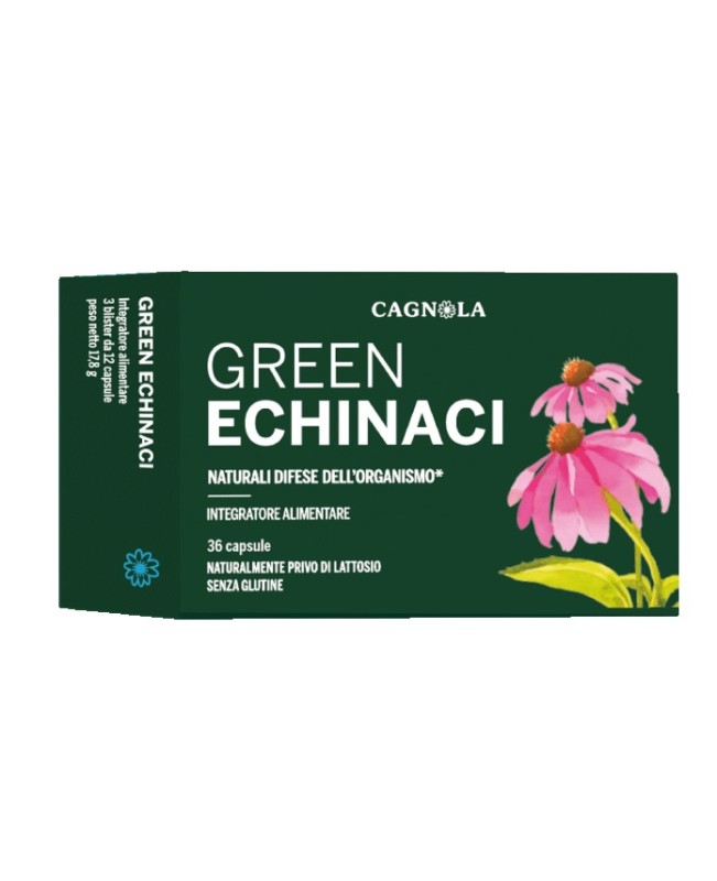 GREEN ECHINACI 36CPS