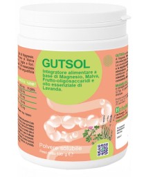 GUTSOL 100G GUTSOL 100G