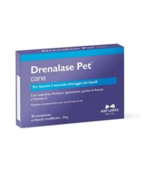 DRENALASE PET 20 CANE 20CPR