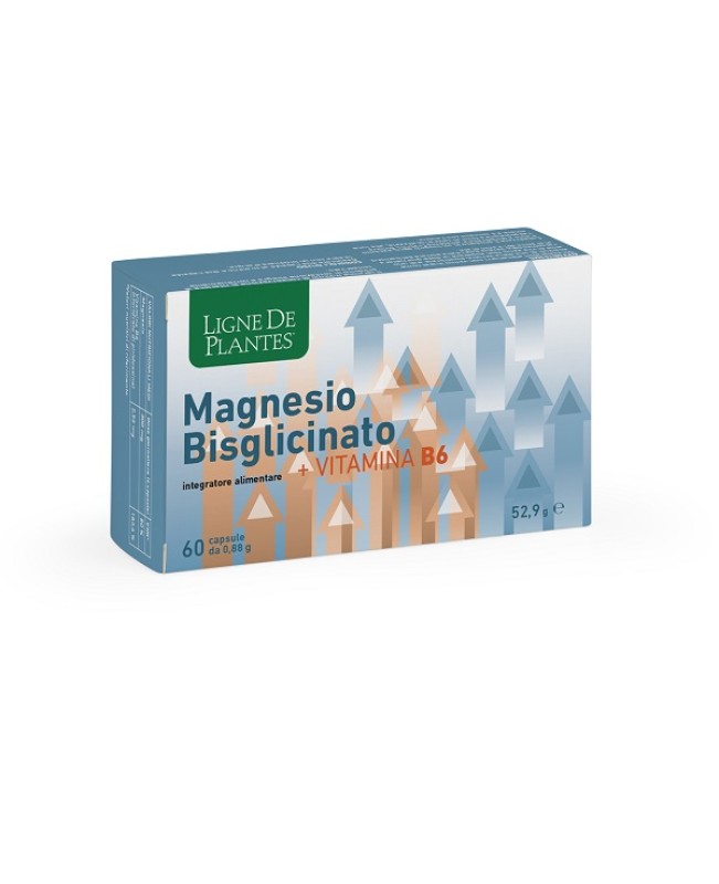 LIGNE MAGNESIO BIS+VITB6 60CPS