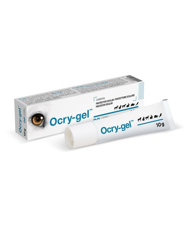 OCRY GEL 10G