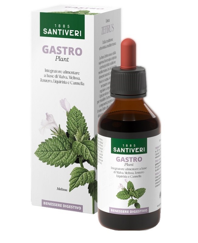 GASTRO PLANT ZEFIRUS 100ML NF