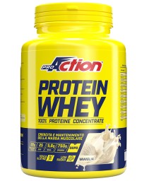 WHEY CONCENTRATE PROTEIN VANIG 750G