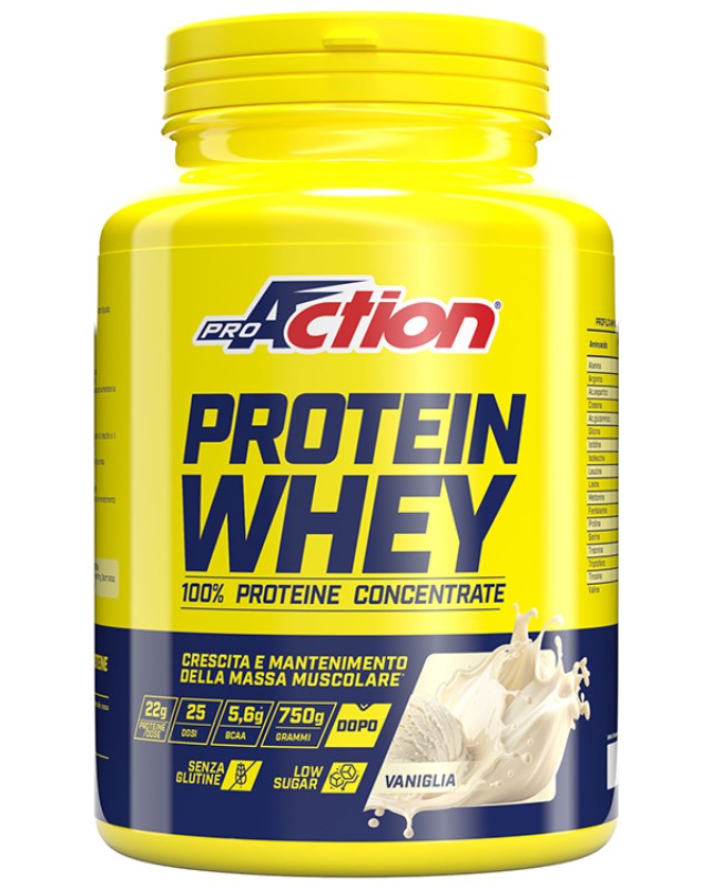 WHEY CONCENTRATE PROTEIN VANIG 750G