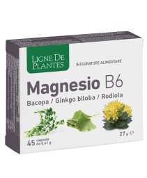 LIGNE MAGNESIO B6 BACOPA 45CPS LIGNE MAGNESIO B6 BACOPA 45CPS