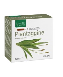 PIANTAGGINE 15 AMPOLLE