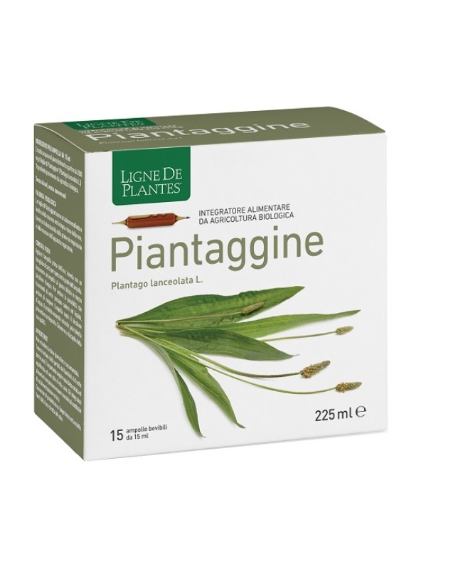 PIANTAGGINE 15 AMPOLLE