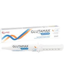 GLUTAMAX ADVANCED GATTO SIRINGA DOS