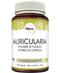 AURICULARIA 90CPS