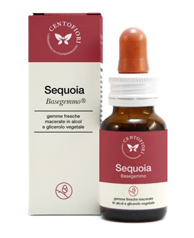 SEQUOIA BASEGEMMO 30ML