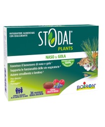 STODAL PLANTS FRUTTI RO 36PAST